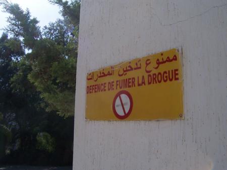 NO DROGUE!!!!!!!!!!!!!!!!!!!!!!!!!